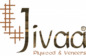 Jivaa Veneers Customer Sohaang IT Solutions